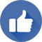 Facebook Likes